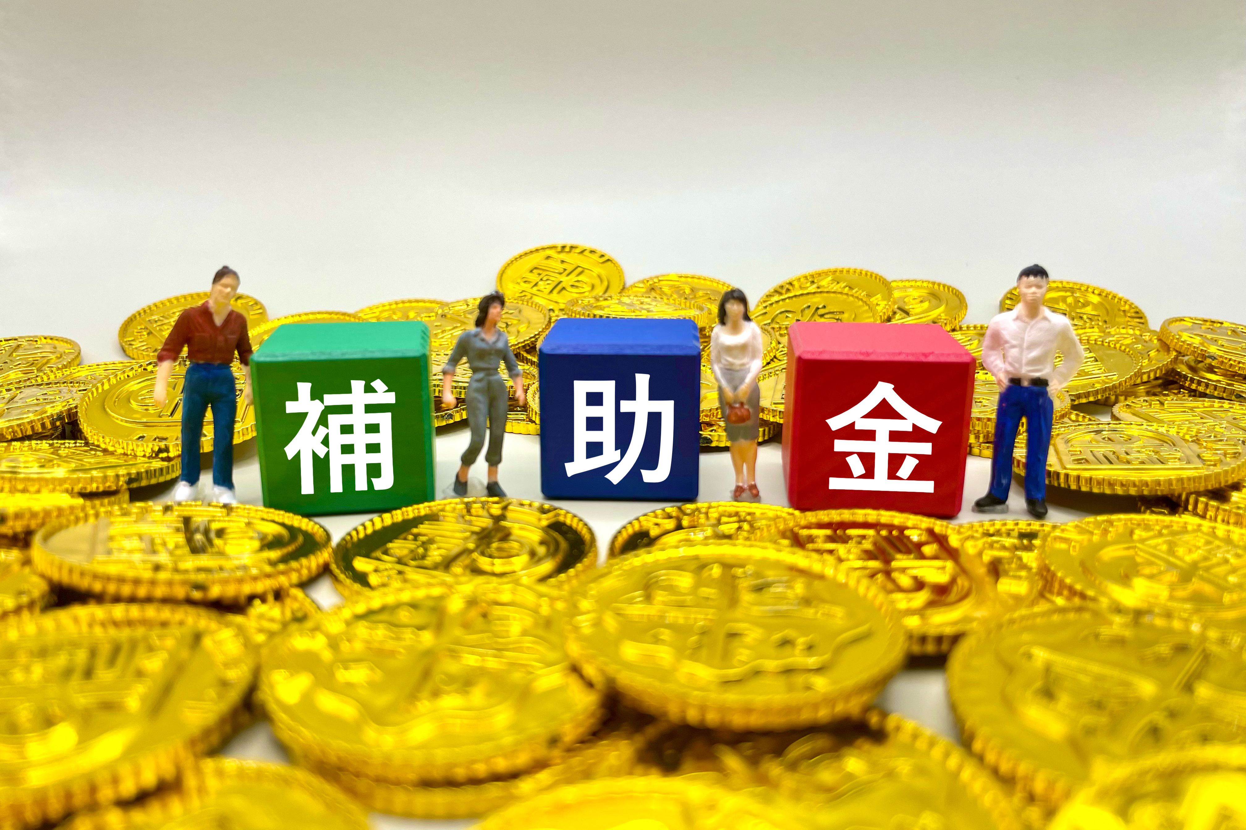 国や自治体の補助金制度と活用Tips